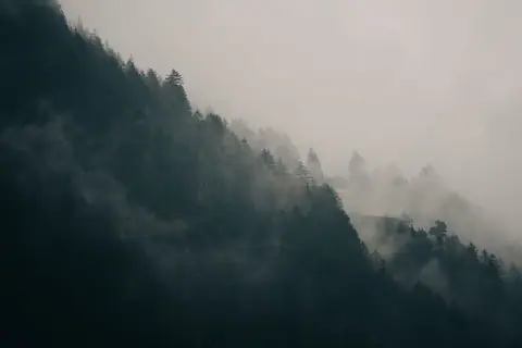 Fog rolling over a forested ridge